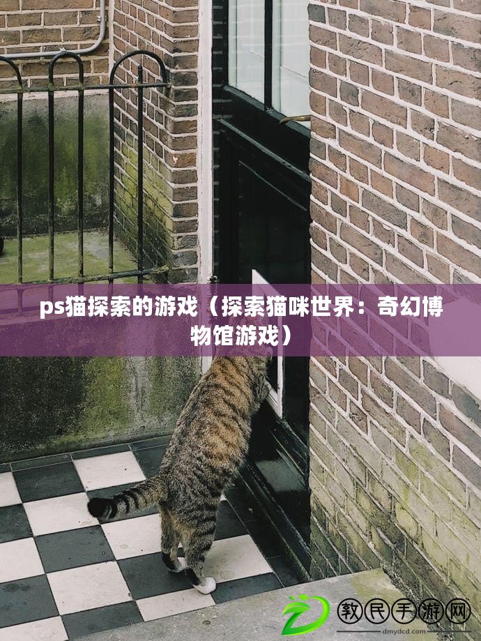 ps貓探索的游戲（探索貓咪世界：奇幻博物館游戲）