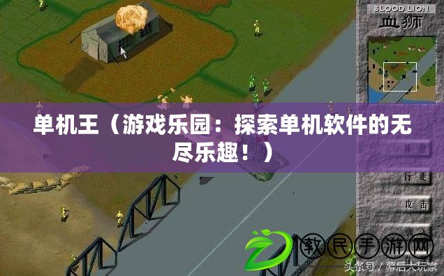 單機王（游戲樂園：探索單機軟件的無盡樂趣?。? title=