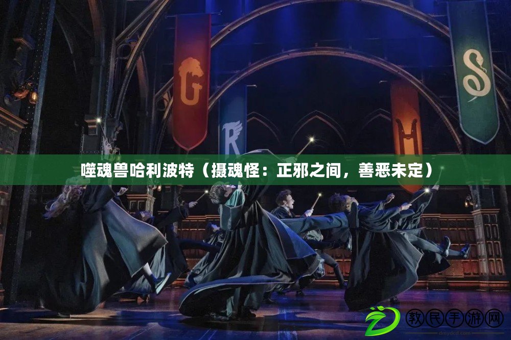噬魂獸哈利波特（攝魂怪：正邪之間，善惡未定）