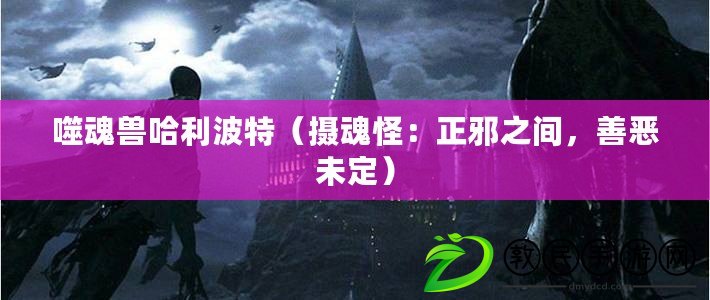 噬魂獸哈利波特（攝魂怪：正邪之間，善惡未定）