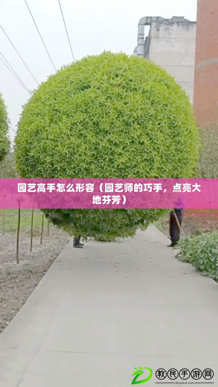 園藝高手怎么形容（園藝師的巧手，點亮大地芬芳）