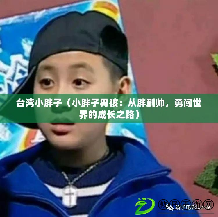 臺灣小胖子（小胖子男孩：從胖到帥，勇闖世界的成長之路）