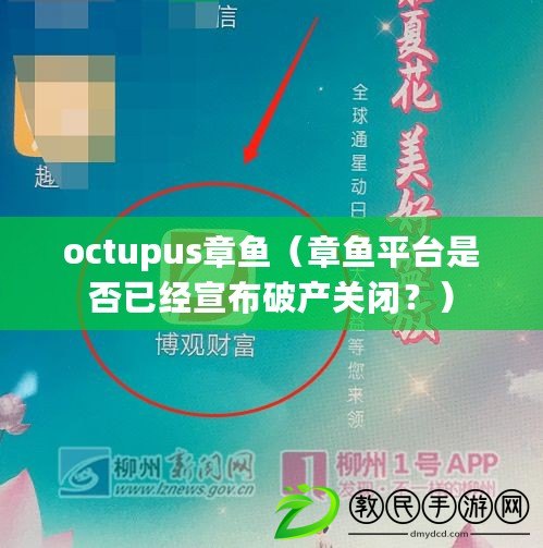 octupus章魚（章魚平臺是否已經宣布破產關閉？）