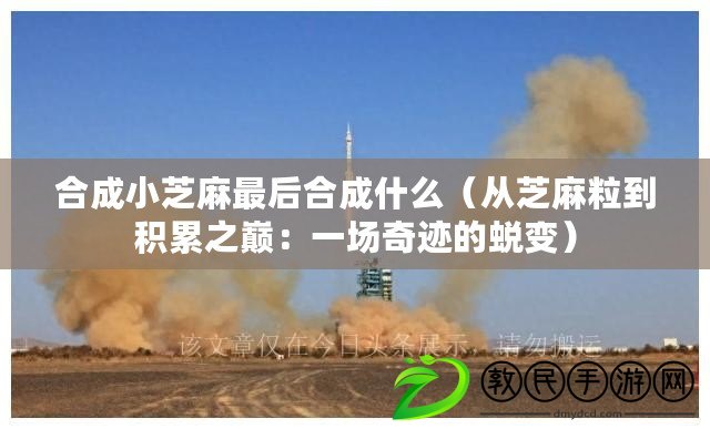 合成小芝麻最后合成什么（從芝麻粒到積累之巔：一場奇跡的蛻變）