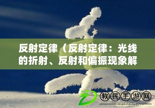 反射定律（反射定律：光線的折射、反射和偏振現象解析）