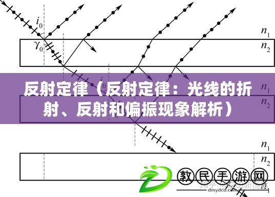 反射定律（反射定律：光線的折射、反射和偏振現象解析）