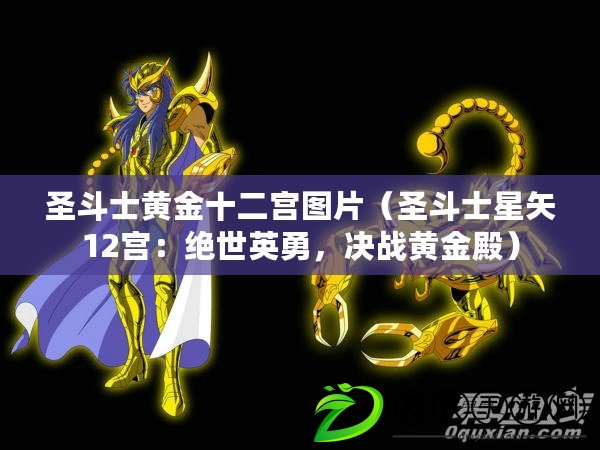 圣斗士黃金十二宮圖片（圣斗士星矢12宮：絕世英勇，決戰黃金殿）