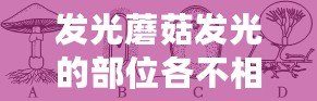 發光蘑菇發光的部位各不相同通?？梢园l光的部位有（蘑菇的組成部分及其功能：菌蓋、菌柄、孢子等，探索蘑菇的奧秘）