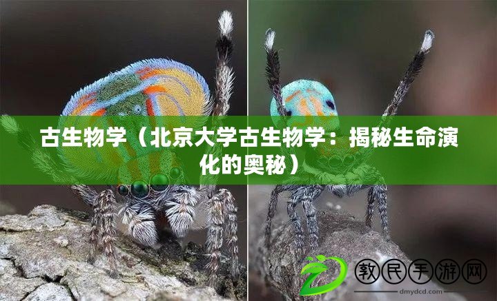 古生物學（北京大學古生物學：揭秘生命演化的奧秘）