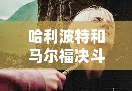 哈利波特和馬爾福決斗（哈利波特與馬爾福的魔法對決：第二部《哈利波特與密室》）