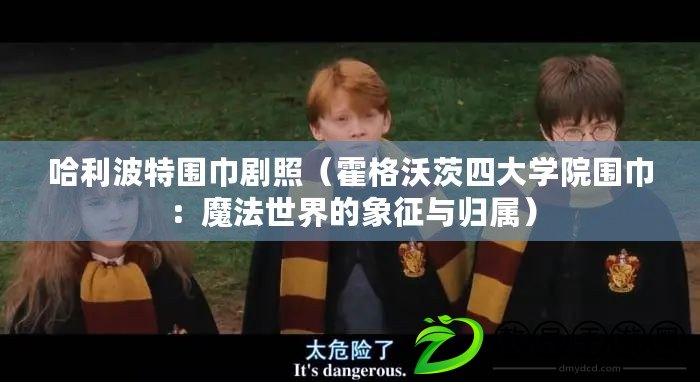 哈利波特圍巾劇照（霍格沃茨四大學院圍巾：魔法世界的象征與歸屬）