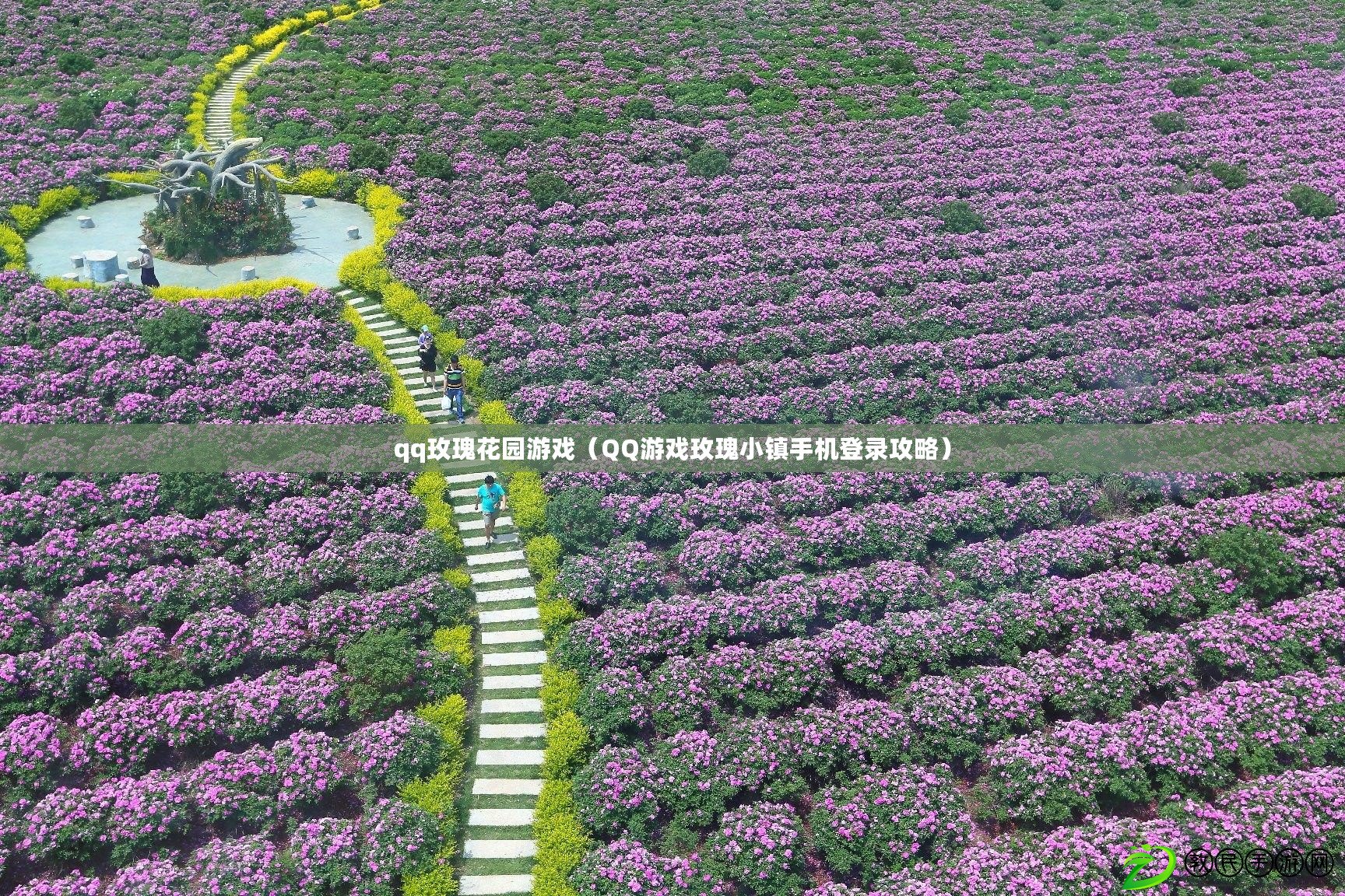 qq玫瑰花園游戲（QQ游戲玫瑰小鎮手機登錄攻略）