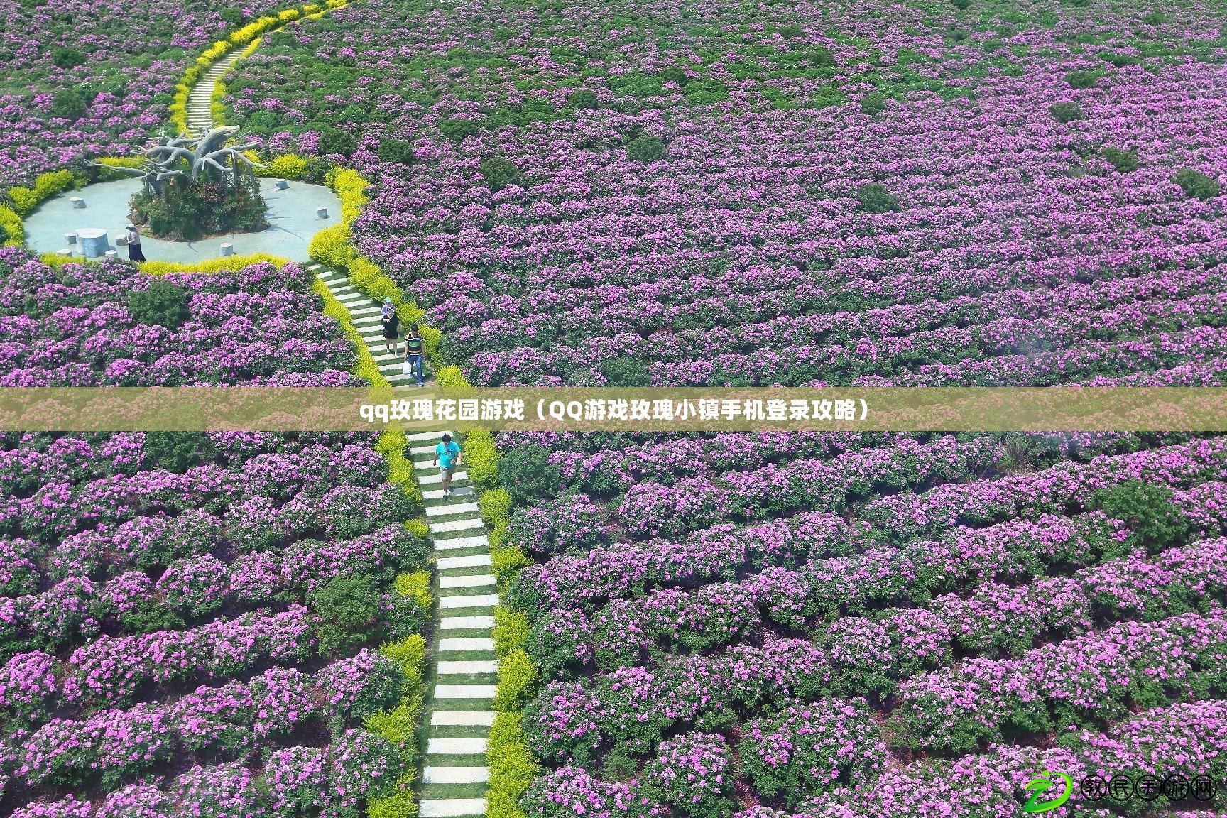 qq玫瑰花園游戲（QQ游戲玫瑰小鎮手機登錄攻略）