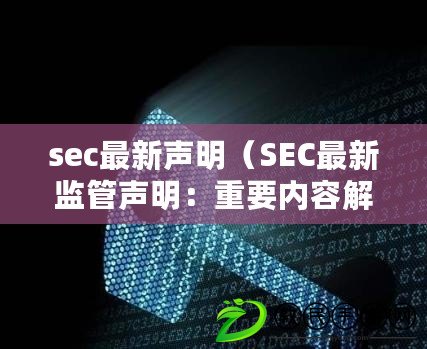 sec最新聲明（SEC最新監管聲明：重要內容解讀與分析）
