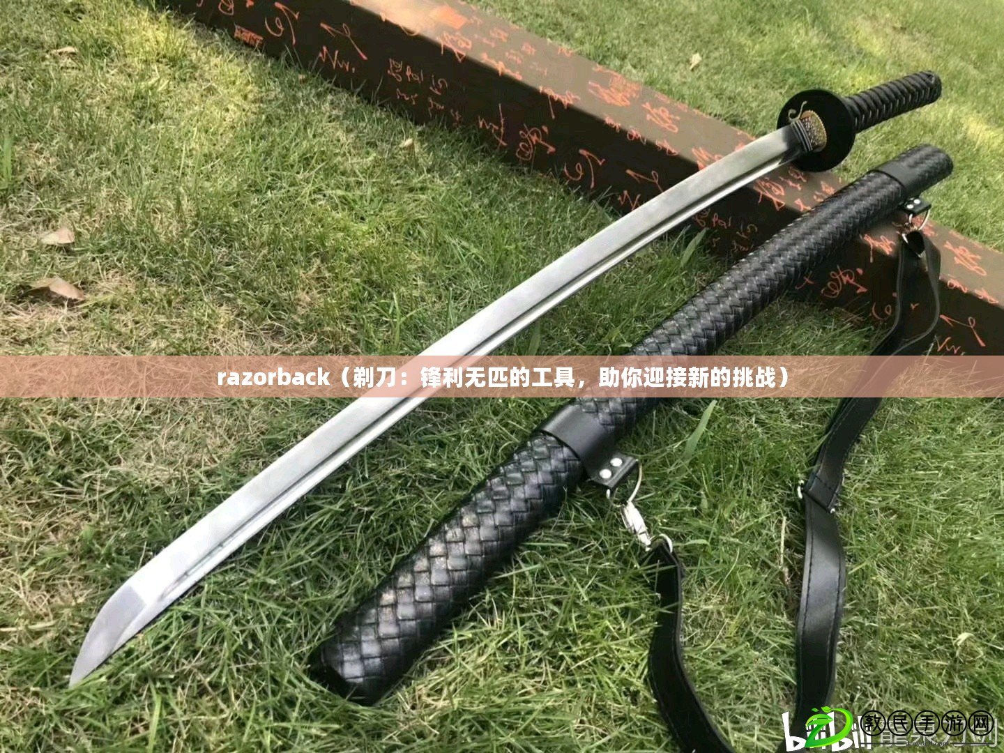 razorback（剃刀：鋒利無匹的工具，助你迎接新的挑戰）