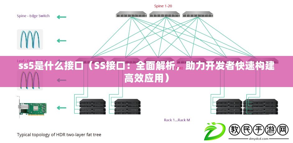 ss5是什么接口（SS接口：全面解析，助力開發者快速構建高效應用）