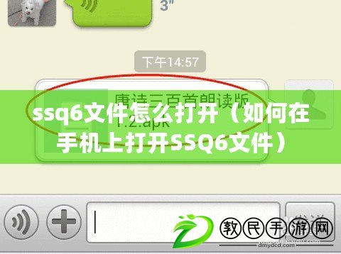 ssq6文件怎么打開（如何在手機上打開SSQ6文件）