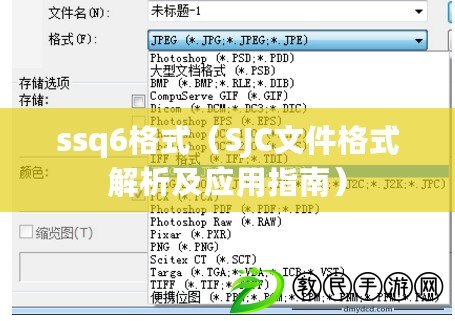 ssq6格式（SJC文件格式解析及應用指南）