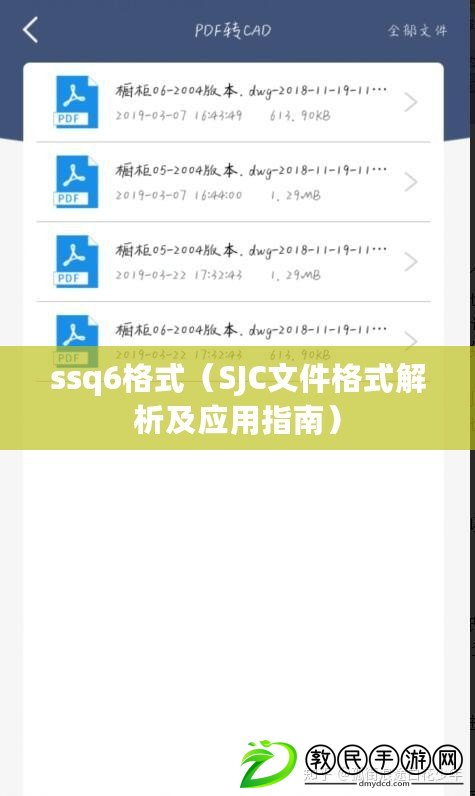 ssq6格式（SJC文件格式解析及應用指南）