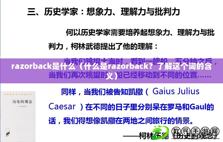 razorback是什么（什么是razorback？了解這個詞的含義）