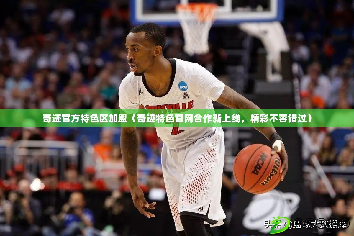 奇跡官方特色區加盟（奇跡特色官網合作新上線，精彩不容錯過）