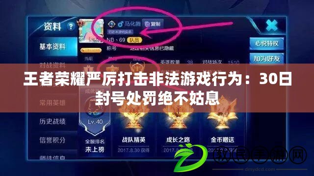 王者榮耀嚴厲打擊非法游戲行為：30日封號處罰絕不姑息