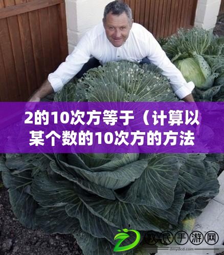 2的10次方等于（計算以某個數的10次方的方法及應用領域簡介）