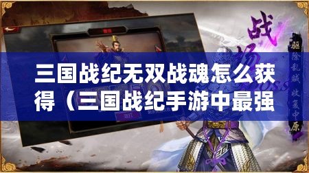 三國戰紀無雙戰魂怎么獲得(三國戰紀手游中最強排位武將盤點) 三國戰紀無雙戰魂怎么獲得(三國戰紀手游中最強排位武將盤點)