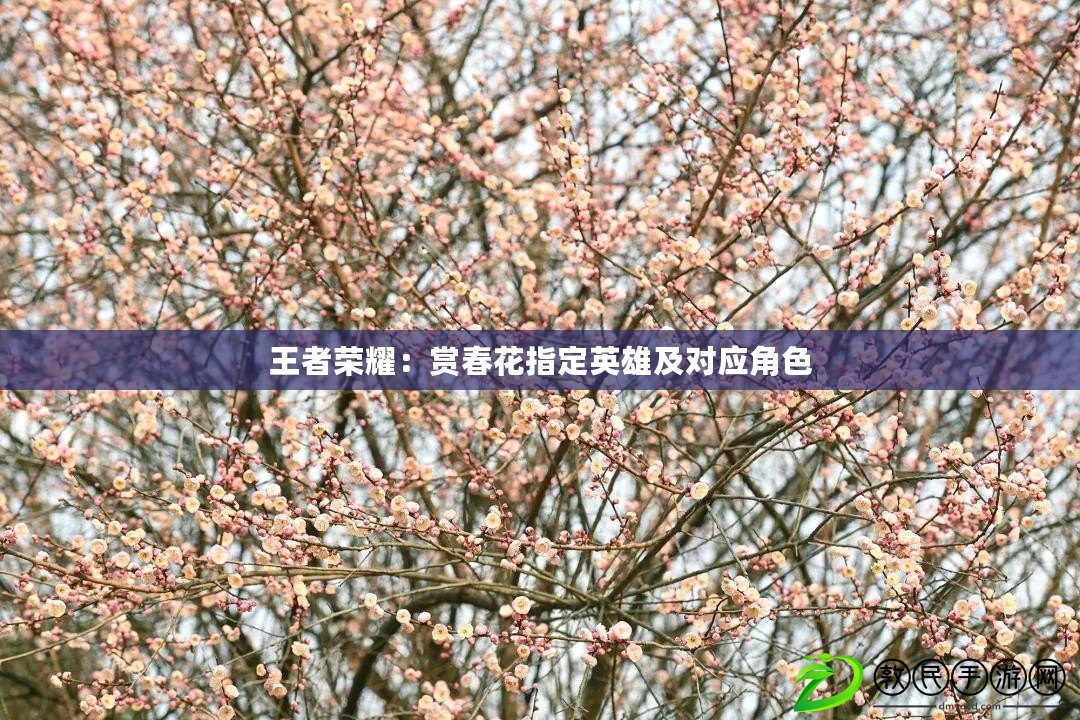 王者榮耀：賞春花指定英雄及對應角色