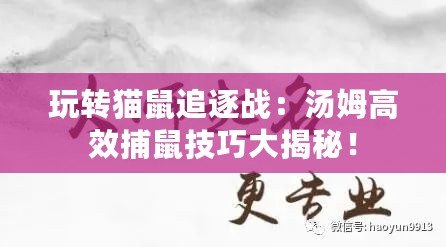 玩轉貓鼠追逐戰：湯姆高效捕鼠技巧大揭秘！
