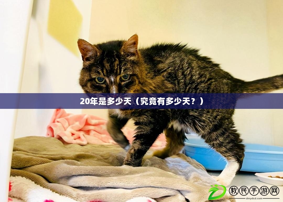20年是多少天（究竟有多少天？）
