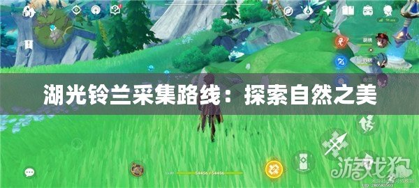 湖光鈴蘭采集路線：探索自然之美