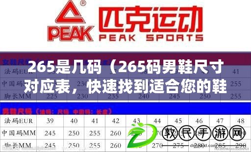 265是幾碼（265碼男鞋尺寸對應表，快速找到適合您的鞋子大?。? title=