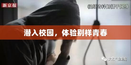 潛入校園，體驗別樣青春