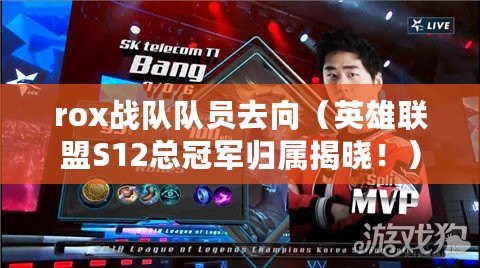 rox戰隊隊員去向（英雄聯盟S12總冠軍歸屬揭曉?。? title=