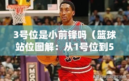 3號位是小前鋒嗎（籃球站位圖解：從1號位到5號位，完美呈現戰術陣型?。? title=