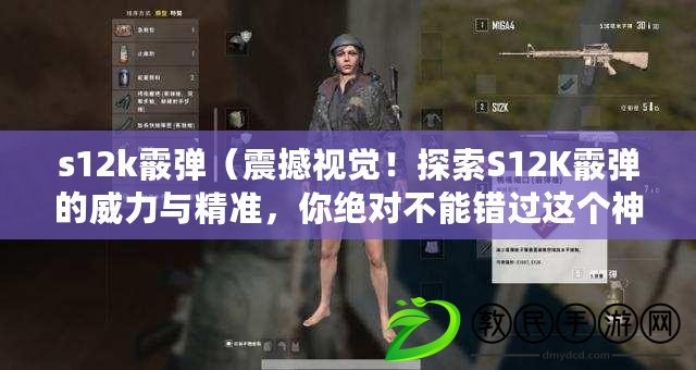s12k霰彈（震撼視覺！探索S12K霰彈的威力與精準，你絕對不能錯過這個神級武器?。? title=