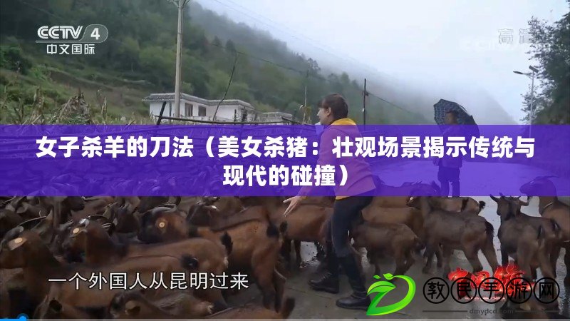 女子殺羊的刀法（美女殺豬：壯觀場景揭示傳統與現代的碰撞）