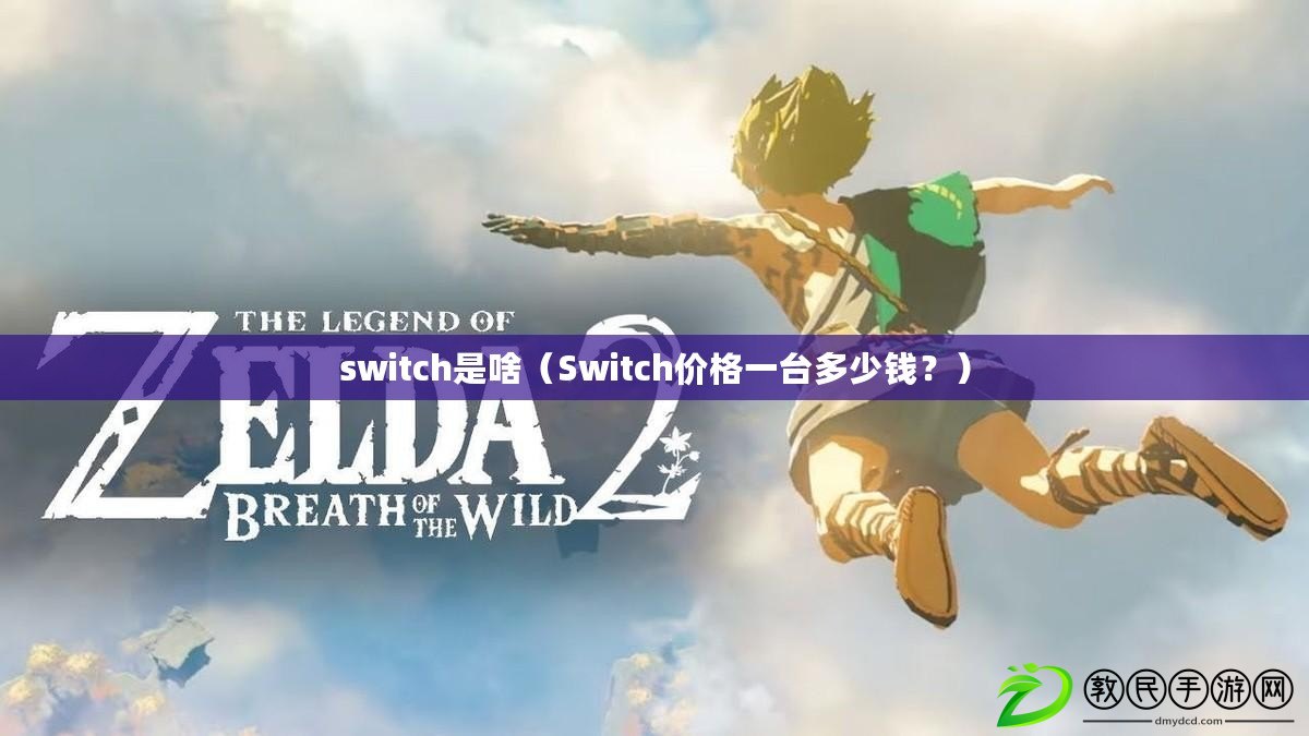 switch是啥（Switch價格一臺多少錢？）