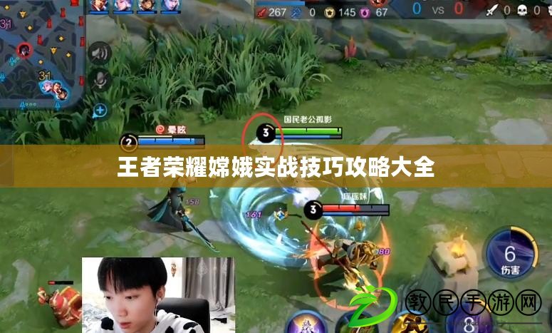 王者榮耀嫦娥實戰技巧攻略大全