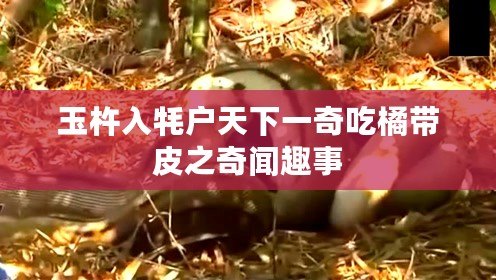 玉杵入牦戶天下一奇吃橘帶皮之奇聞趣事 玉杵入牦戶天下一奇吃橘帶皮之奇聞趣事