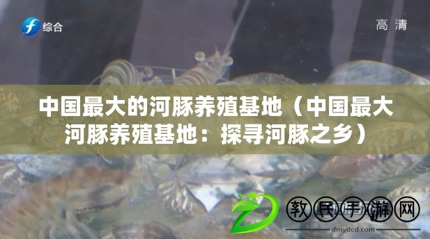 中國最大的河豚養殖基地(中國最大河豚養殖基地:探尋河豚之鄉) 中國最大的河豚養殖基地(中國最大河豚養殖基地:探尋河豚之鄉)