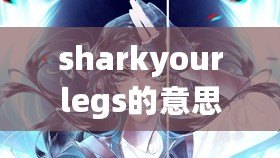 sharkyourlegs的意思（Shark Your Legs：探討海洋生物與人類關系）