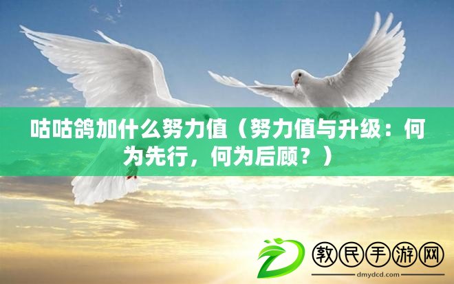 咕咕鴿加什么努力值（努力值與升級：何為先行，何為后顧？）