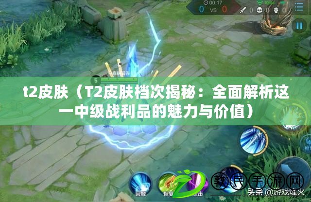 t2皮膚（T2皮膚檔次揭秘：全面解析這一中級戰利品的魅力與價值）