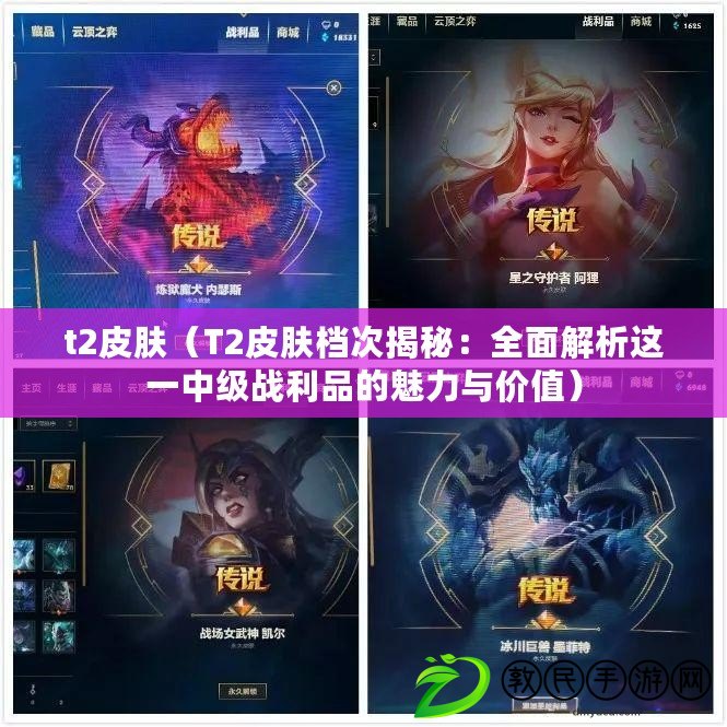 t2皮膚(T2皮膚檔次揭秘:全面解析這一中級戰利品的魅力與價值) t2皮膚(T2皮膚檔次揭秘:全面解析這一中級戰利品的魅力與價值)