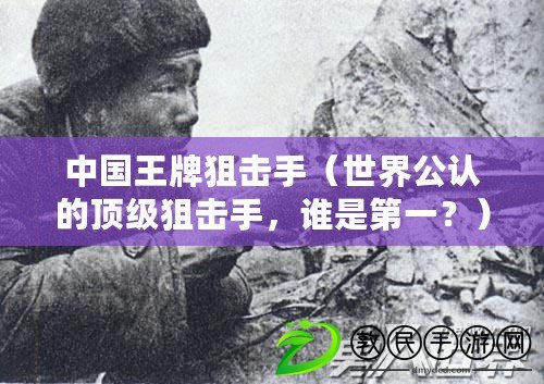 中國王牌狙擊手（世界公認的頂級狙擊手，誰是第一？）