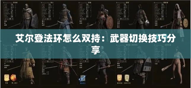 艾爾登法環怎么雙持：武器切換技巧分享