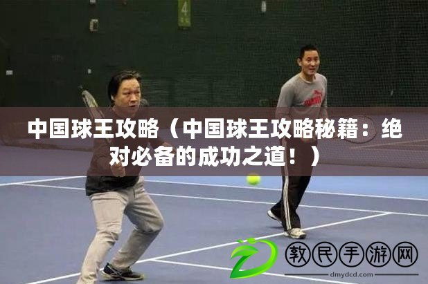 中國球王攻略（中國球王攻略秘籍：絕對必備的成功之道?。? title=