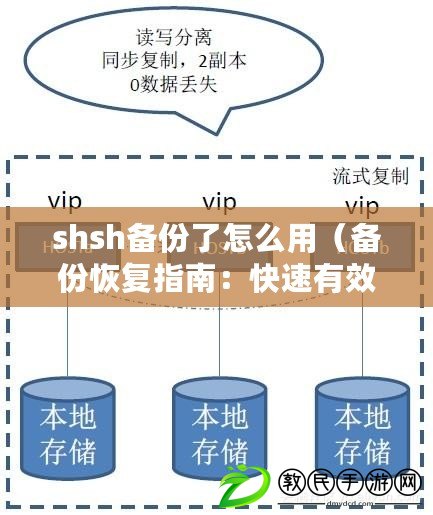 shsh備份了怎么用（備份恢復指南：快速有效的數據恢復方法解析）